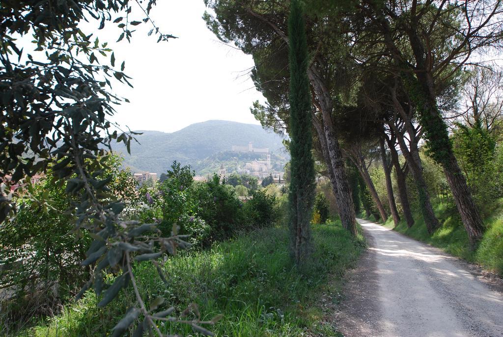 Spoleto By The Pool旅馆 外观 照片